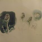 405 8087 Grafiskt blad